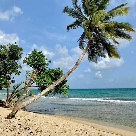 Agreable T2 A 5 Min Des Plages Leilighet Sainte-Luce Eksteriør bilde