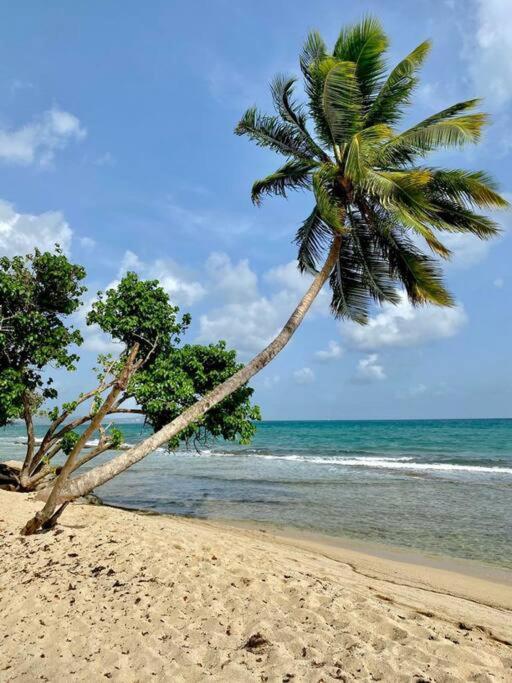 Agreable T2 A 5 Min Des Plages Leilighet Sainte-Luce Eksteriør bilde